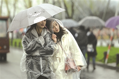 昨天，春雷响起，春雨淅沥，白堤上两个女孩撑着雨伞、穿着雨衣，相伴而行。 