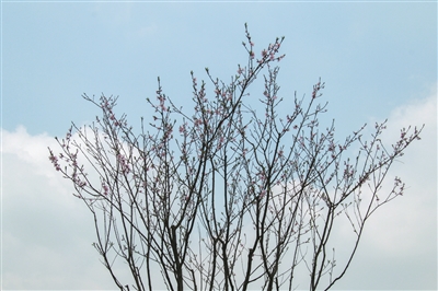 3月杭州第一个阳光灿烂的双休日要来啦