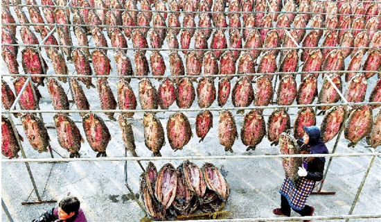 12月27日，余杭三白潭青鱼干加工厂员工在晾晒鱼干。　　