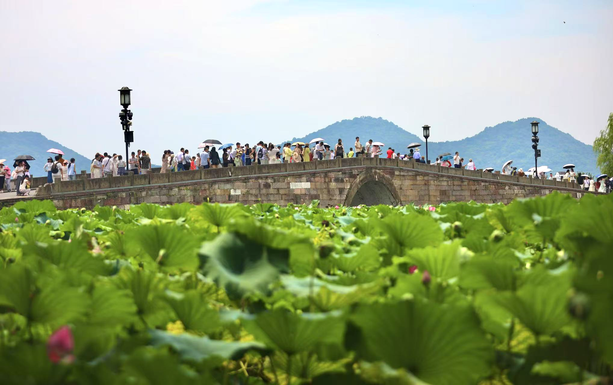配图1