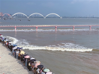 昨天,人们在七堡艺文公园观潮。 记者 夏阳 摄