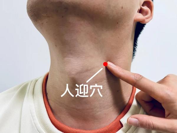 图片来源于供稿单位 图片