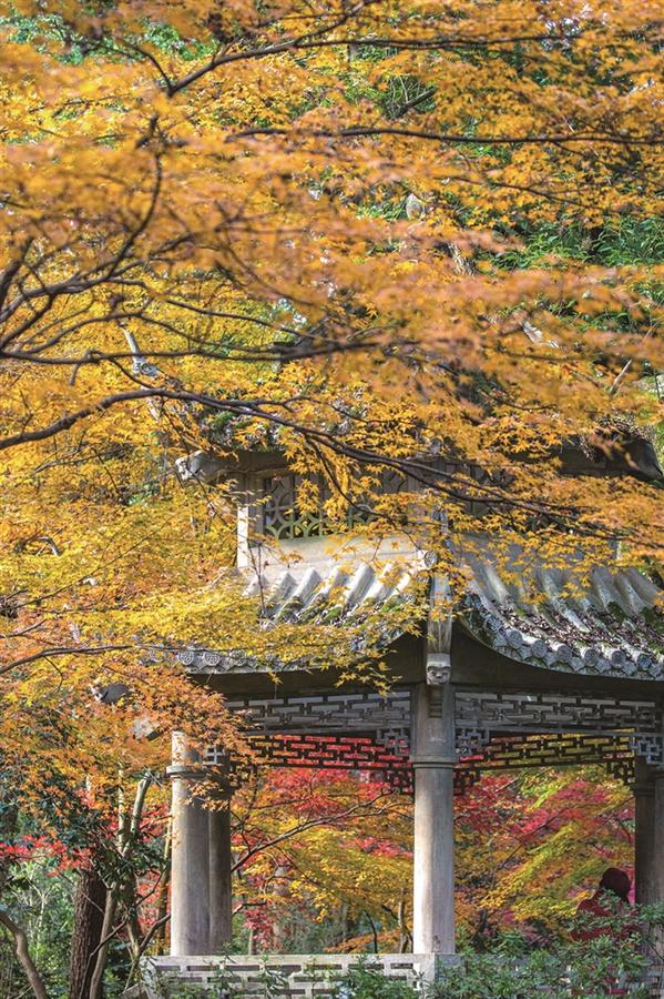 记者 陈中秋 摄